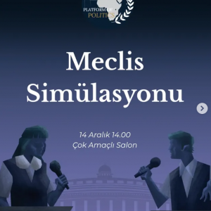 Meclis Simülasyonu